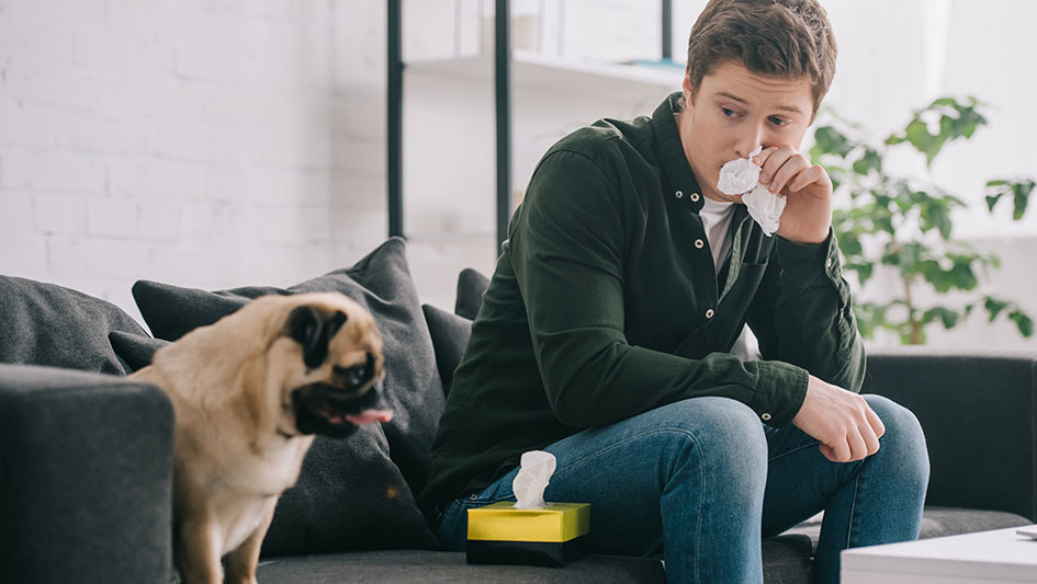 Getting an air purifier is one of the best approaches to boost your home’s indoor air quality. Discover more about the three top options. 